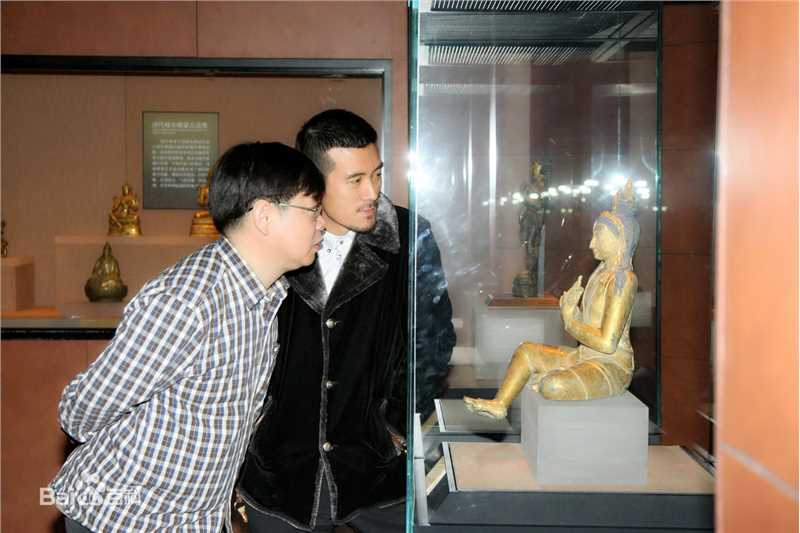 杨子与收藏素颜照壁纸