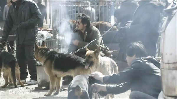 黄海(The Yellow Sea /) 精选剧照