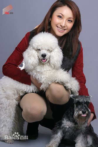 隋兰公益美图性感图片图集