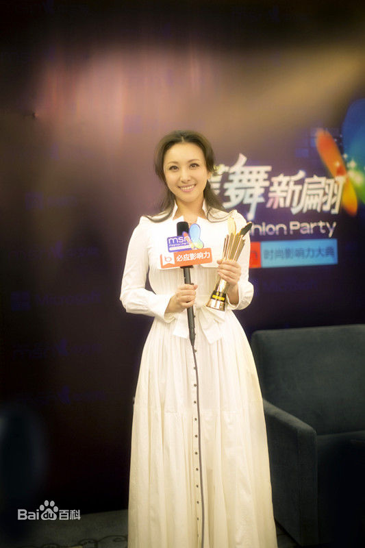 隋兰MSN时尚影响力大典壁纸壁纸