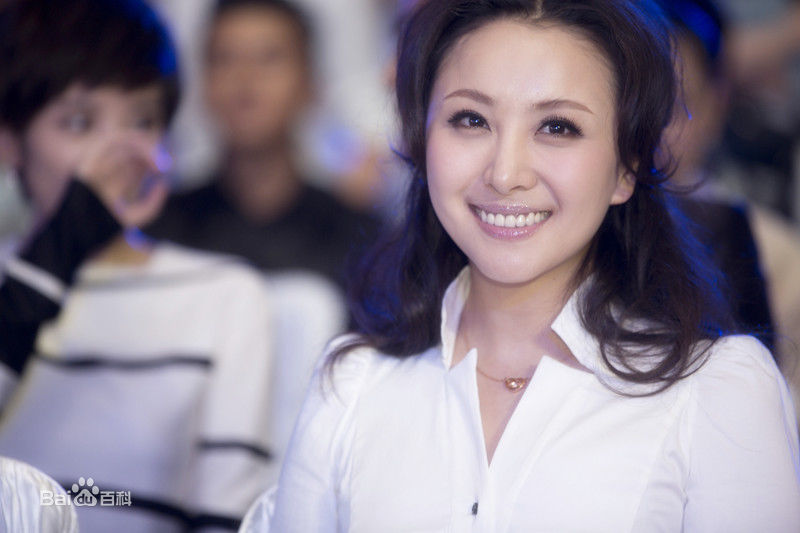 隋兰MSN时尚影响力大典壁纸壁纸