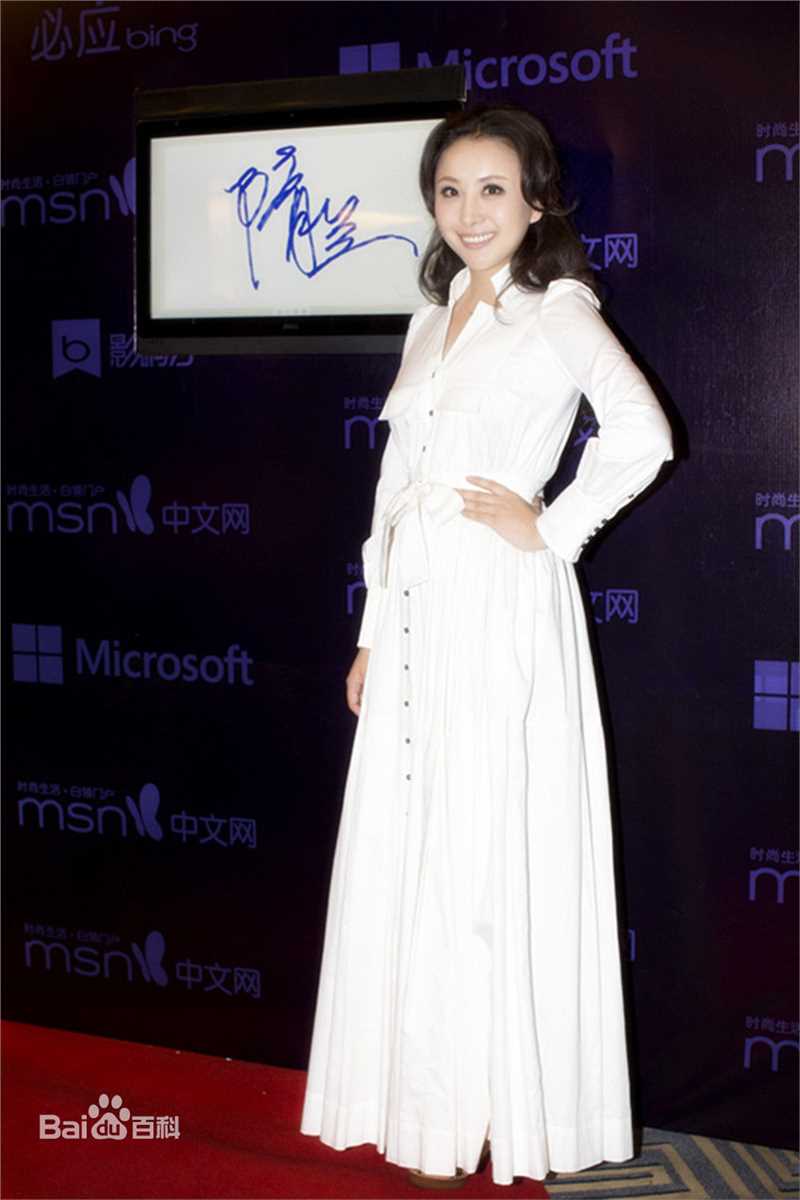 隋兰MSN时尚影响力大典壁纸壁纸