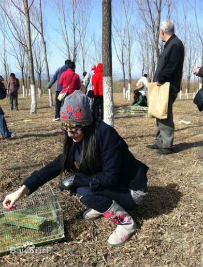 陈廷嘉(Elena Chen)个人照图册