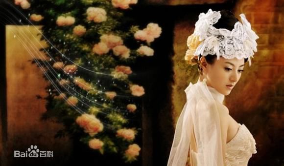 精选陈廷嘉(Elena Chen)