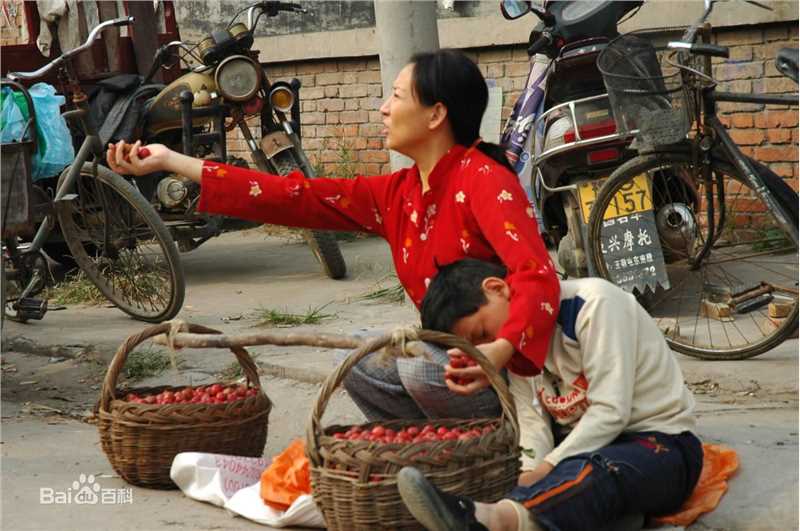 马羚电视剧高清剧照