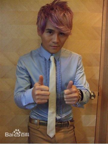 曹格(Gary)2008娱协奖颁奖现场图片图集