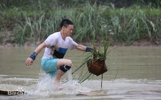 杨威(Yang Wei) 杨阳洋生活照