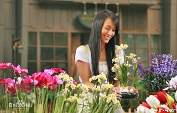 韩晓(Han Xiao)最全相册