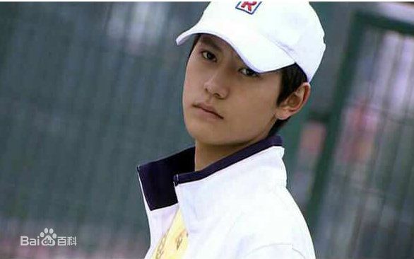 最新秦俊杰在《网球王子》龙马中的壁纸