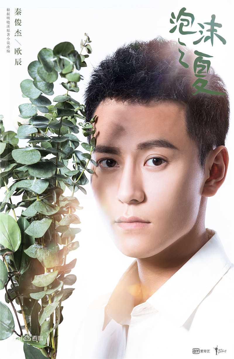 秦俊杰泡沫之夏精选剧照