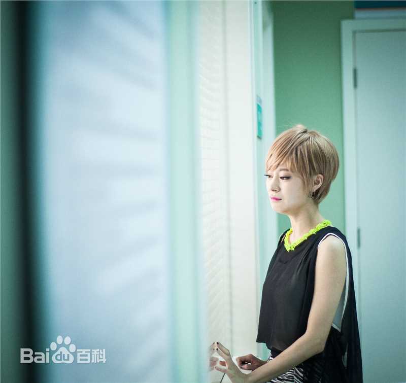 王汀桃花运图册