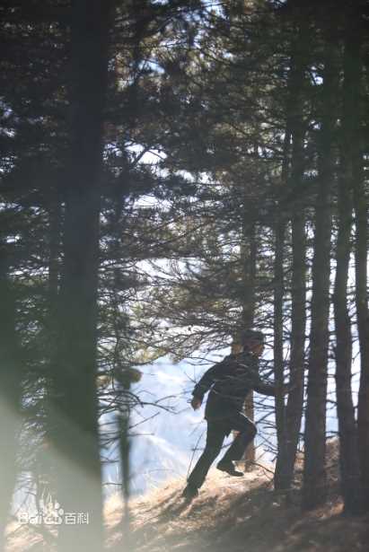 袁文康(Mickey)影视形象图片图集