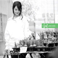 最新张娜拉()壁纸