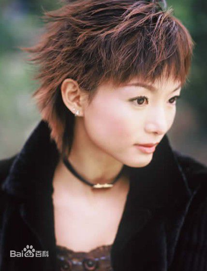 最全蒋虹(Michelle)精彩图册