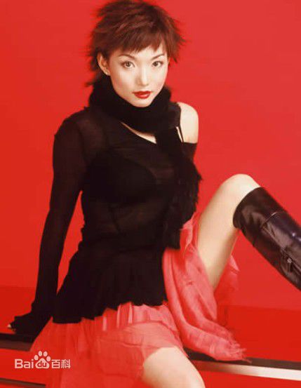 最全蒋虹(Michelle)精彩图册