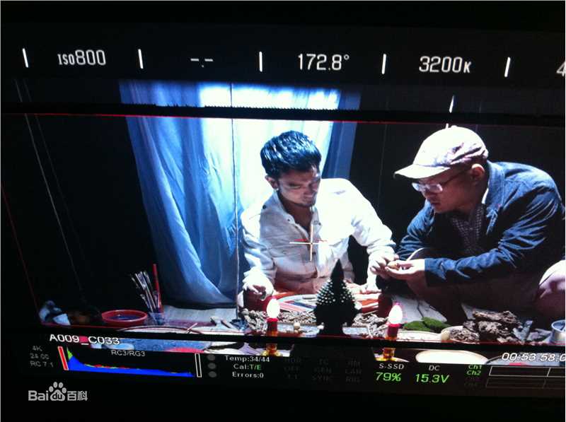 张江南导演性感图片壁纸