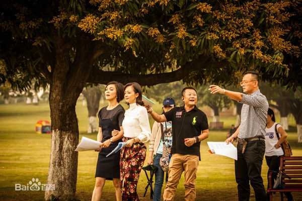 高先明(Sammy)工作生活照图片图册