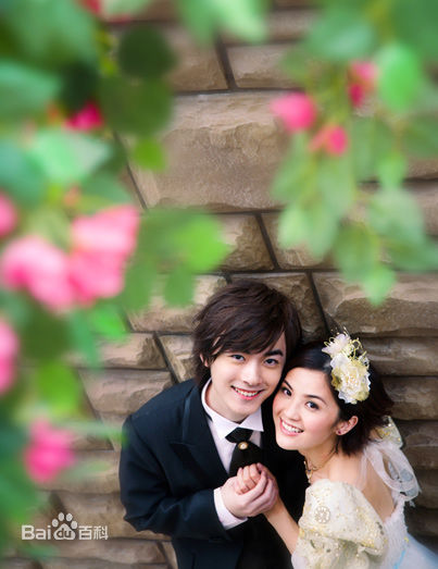 陈家乐(Carlos Chan、Chan Ka Lok)婚纱照前后照片