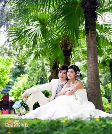 陈家乐(Carlos Chan、Chan Ka Lok)婚纱照前后照片