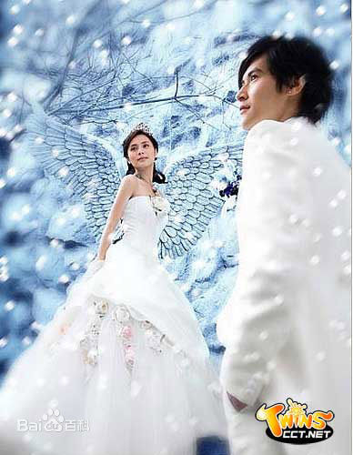 陈家乐(Carlos Chan、Chan Ka Lok)婚纱照前后照片