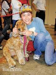 陈文媛(BoBo Chan)与宠物在一起素颜照相册