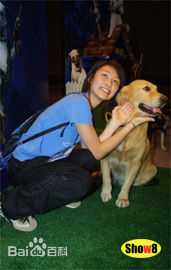 陈文媛(BoBo Chan)与宠物在一起素颜照相册