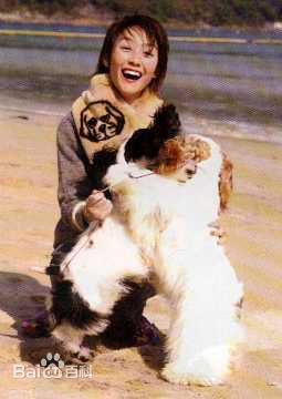 陈文媛(BoBo Chan)与宠物在一起素颜照相册