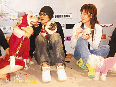 陈文媛(BoBo Chan)与宠物在一起素颜照相册