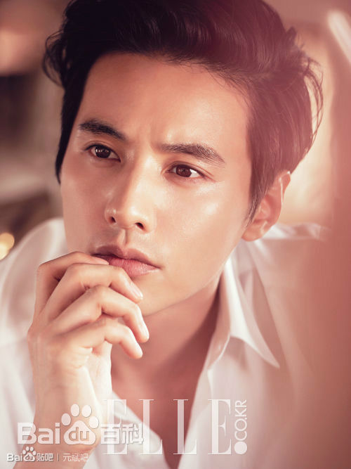 元斌(Won Bin)嘉人Marie Claire、ELLE（2010、2014）前后照片