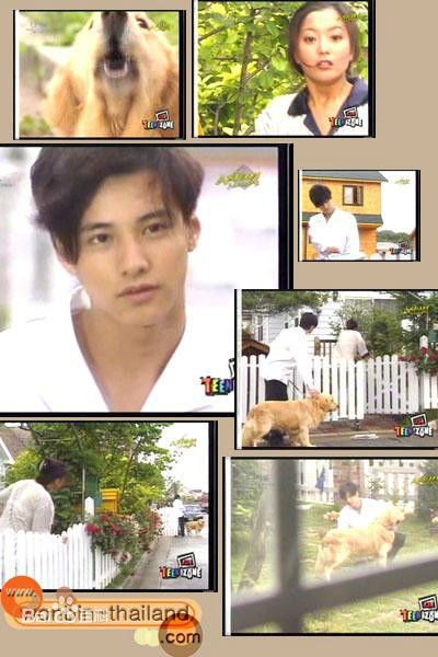 最优质元斌(Won Bin)在《求婚》、《准备出发》、《我们的故事》中的相册