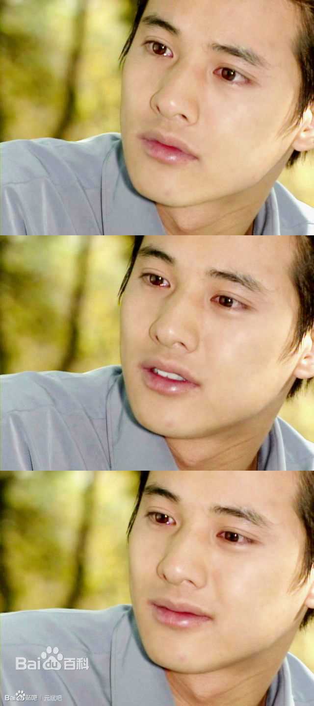 最全元斌(Won Bin)在《蓝色生死恋》、《小盖子》中的壁纸