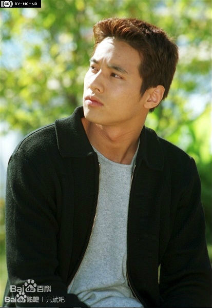 最全元斌(Won Bin)在《蓝色生死恋》、《小盖子》中的壁纸