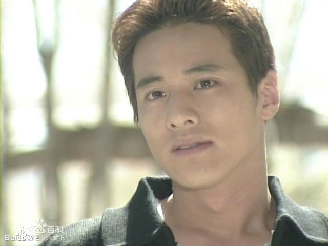 最全元斌(Won Bin)在《蓝色生死恋》、《小盖子》中的壁纸