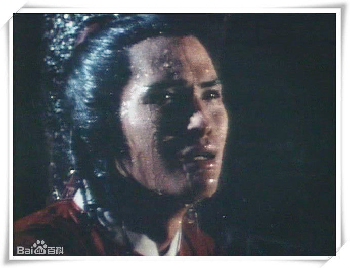 顾冠忠(Koo Koon chung)1979年版云飞扬生活照相册