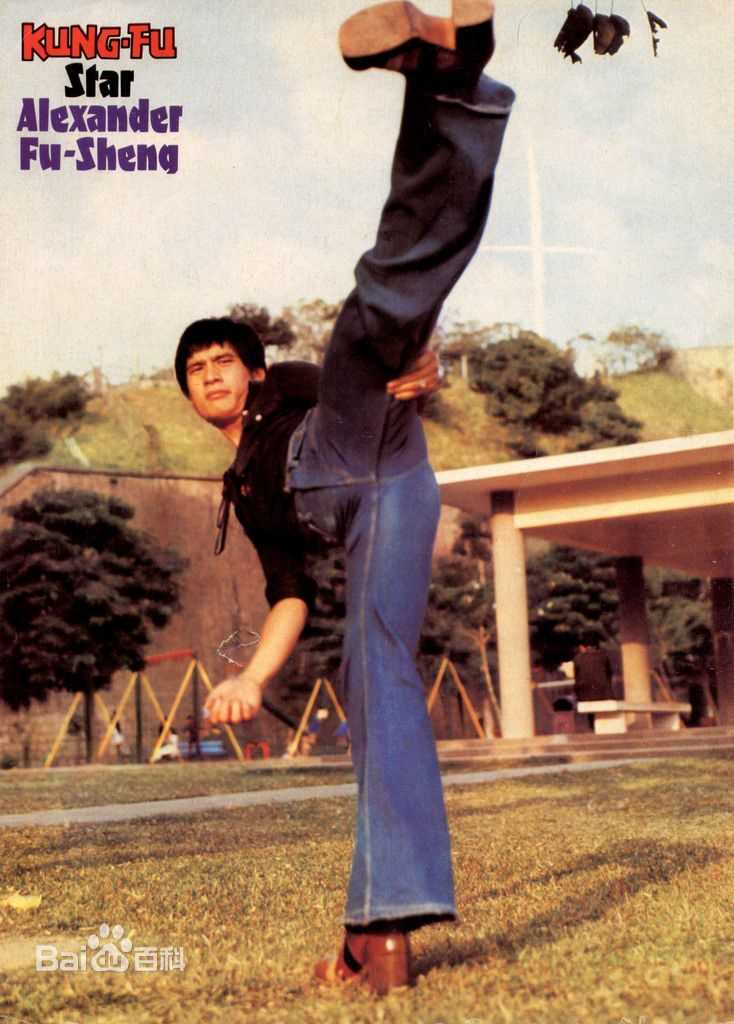 最优质傅声(Alexander Fu)精彩图册