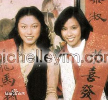 文雪儿(Candy Wen / Wen Hsueh-Erh / Man Suet-Yi / Man Suet-Yee)佳视时期壁纸壁纸