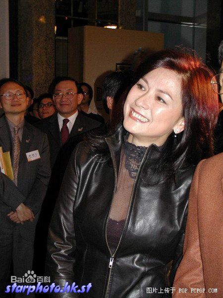 黄淑仪(Gigi Wong)电影最优质剧照