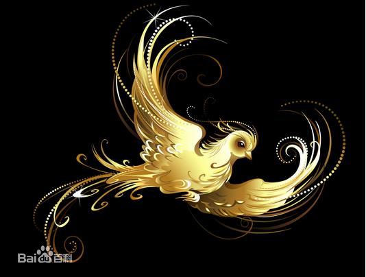 最全伍卫国(Lawrence Ng Wai Kwok)素颜照