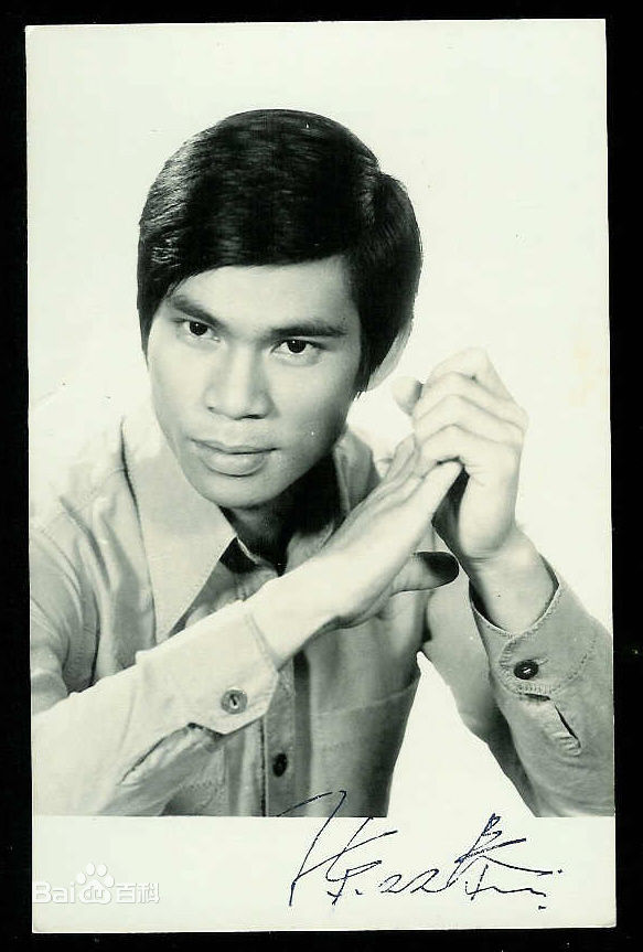 最优质陈观泰精彩图册