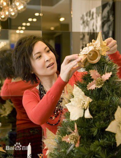 精选苏玉华(Louisa So)精彩图册