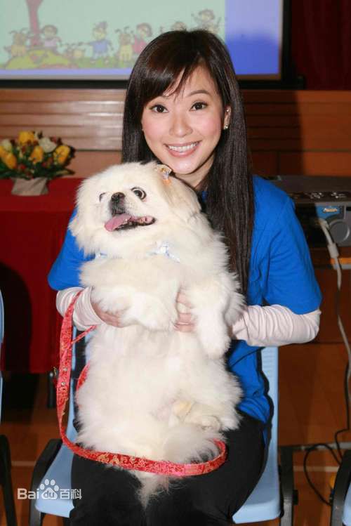 高清傅明宪(Gigi Fu)图片