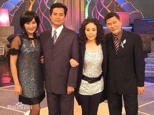 江淑娜活动照壁纸壁纸