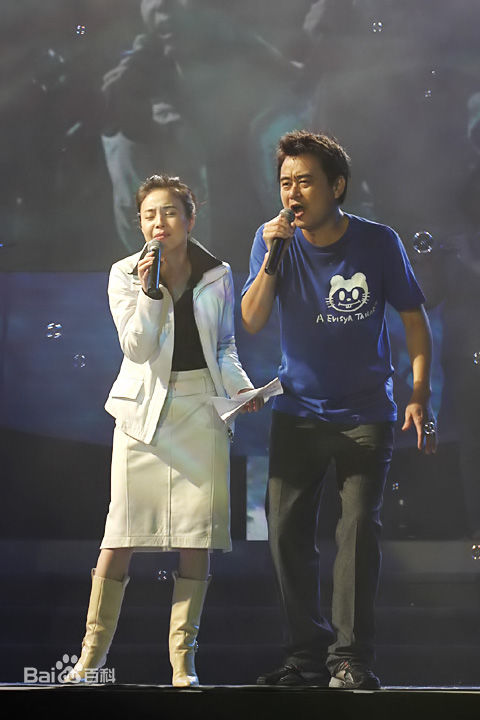 江淑娜活动照壁纸壁纸