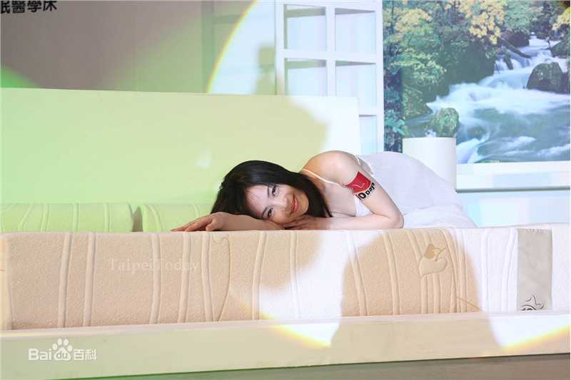 江淑娜活动照壁纸壁纸