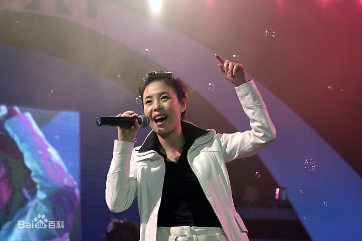 江淑娜活动照壁纸壁纸