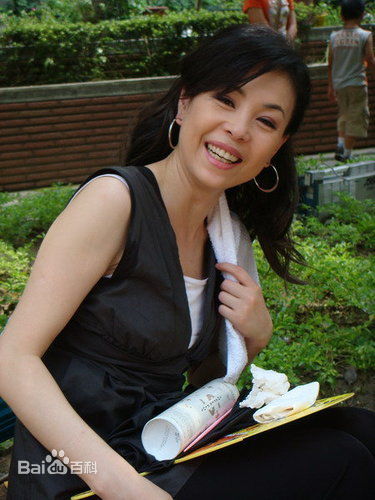 江淑娜活动照壁纸壁纸