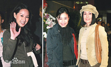 江淑娜活动照壁纸壁纸