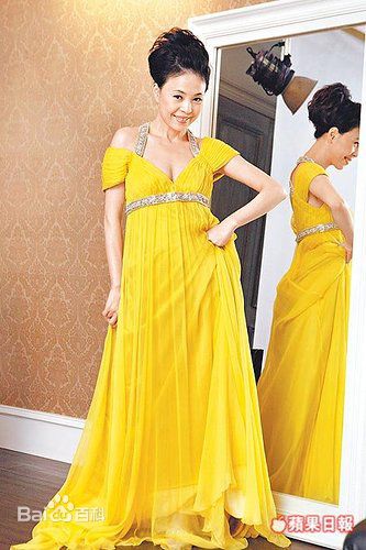 江淑娜活动照壁纸壁纸