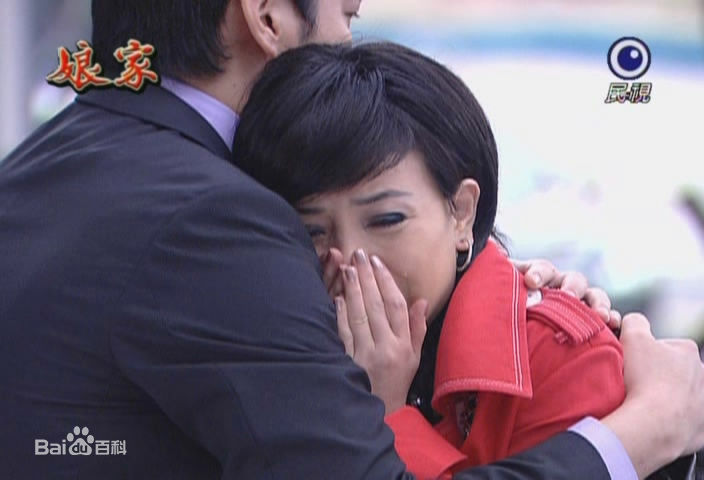 江淑娜最全剧照