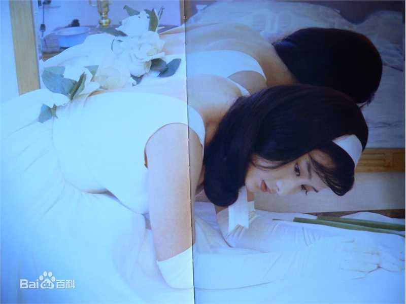 陈德容(Vivian)《豆蔻》集